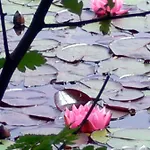 アパート Haus Am Karpfenteich *