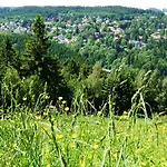 Haus Am Karpfenteich