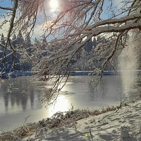 Haus Am Karpfenteich