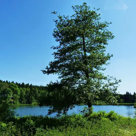 Haus Am Karpfenteich *
