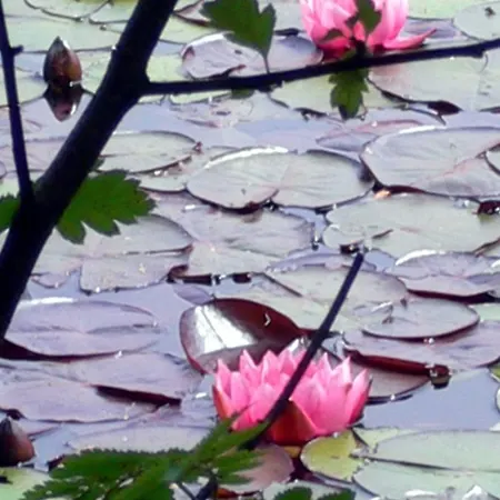 Apartamento Haus Am Karpfenteich *