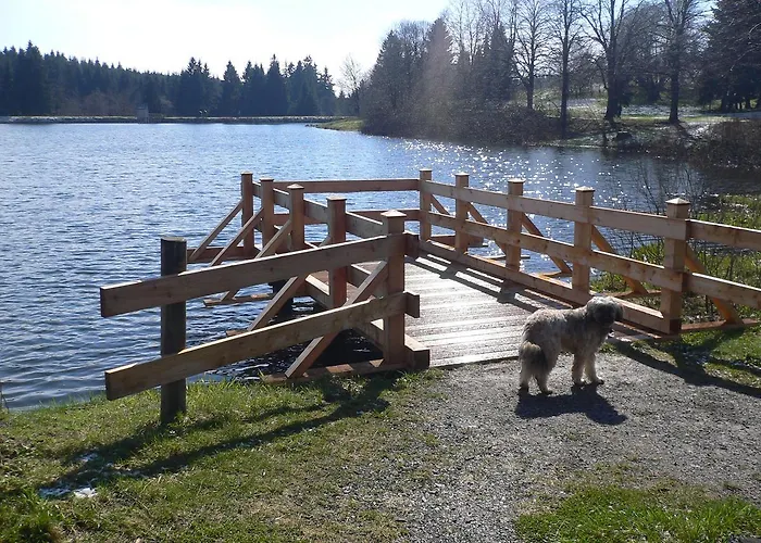 Apartmán Haus Am Karpfenteich Goslar